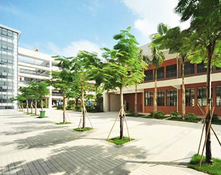 深圳市坪山实验学校(小学部)