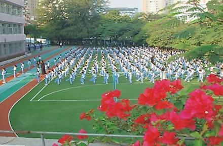 深圳市南山区南油小学