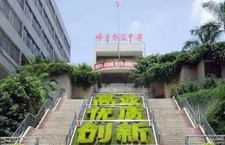 2019深圳布吉高级中学录取分数线是多少