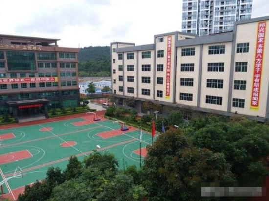 2019深圳市德邦高级中学中考录取分数线是多少