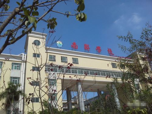 深圳龙岗区小学排名前十名一览