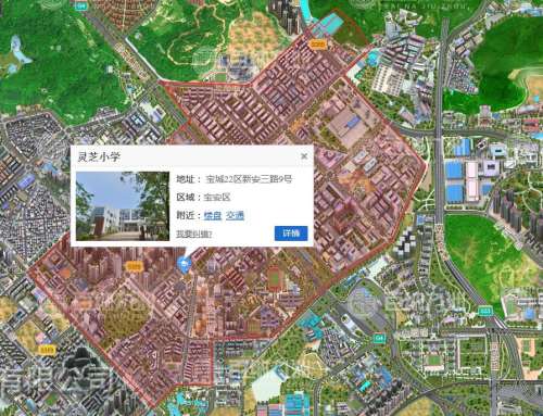 深圳灵芝小学学区划分是怎样