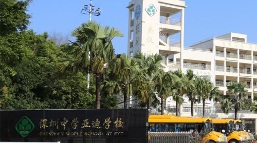 2020年深圳民办学校排行榜