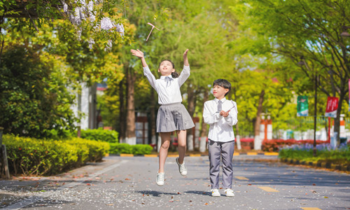 学府二小学区划分范围