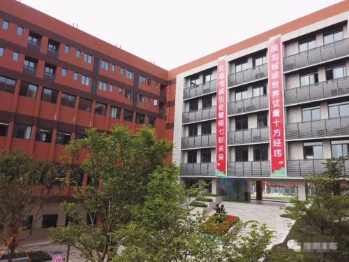 上海外国语大学附属龙岗学校怎么样