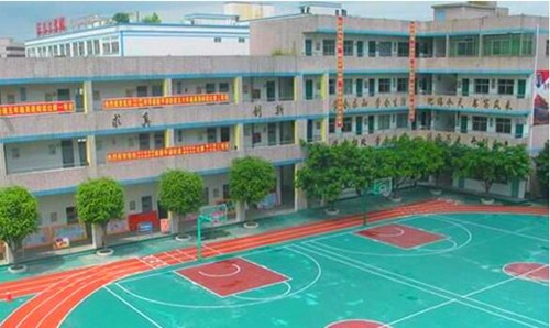 深圳平湖民办学校有哪些