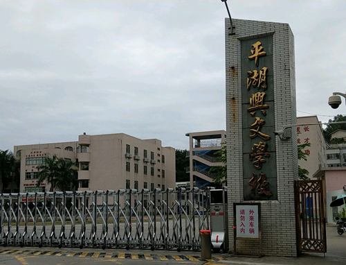 龙岗兴文学校小一积分要多少