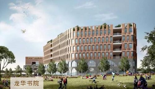 2020年深圳龙华区已开工建设学校盘点