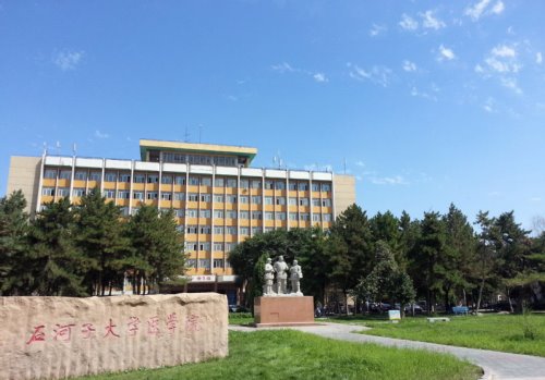 新疆985大学有哪些 新疆985大学名单一览